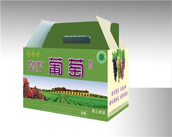 西(xī)安包裝紙(zhi)箱